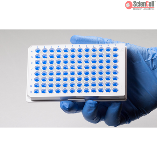 人PD-1/PD-L1检查点途径qPCR检测试剂盒，GeneQuery™ Human PD-1/PD-L1 Checkpoint Pathway qPCR Array Kit