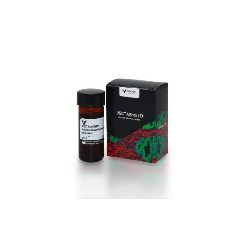 荧光封片剂（含 DAPI）10ml