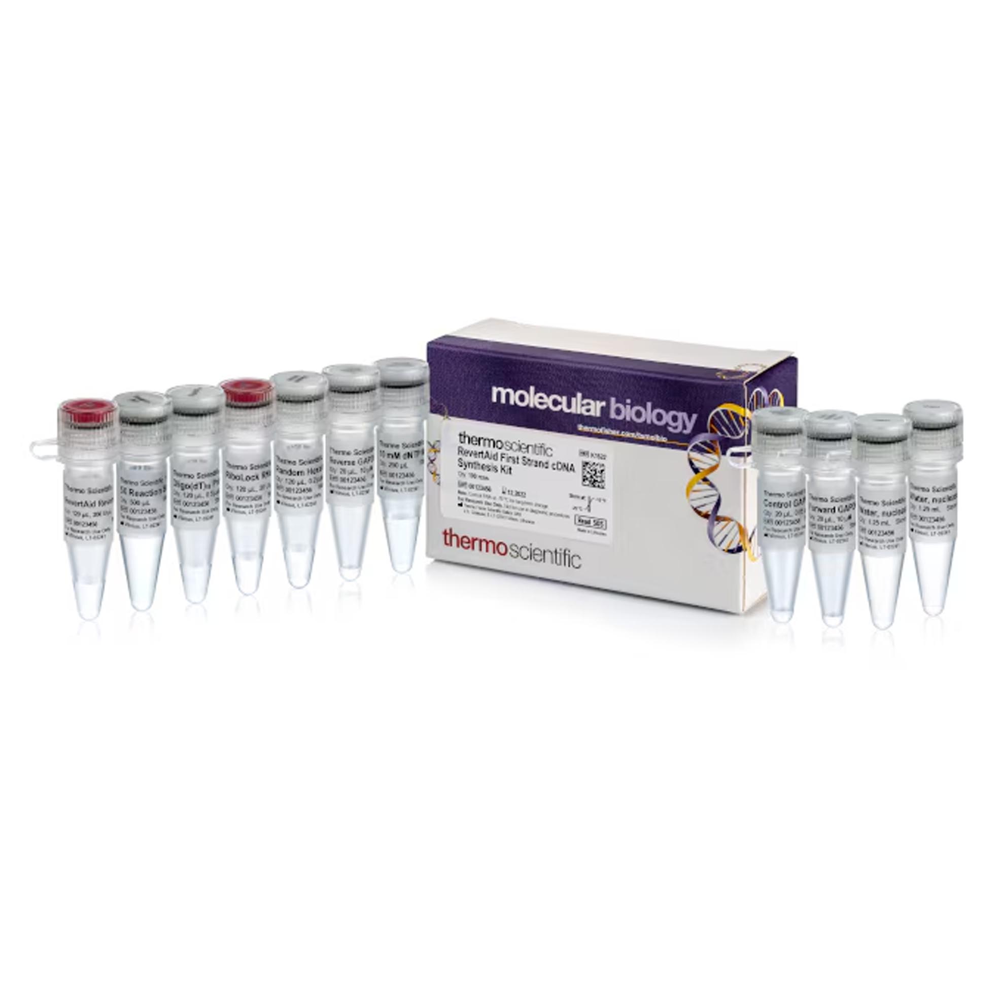 RT逆转录试剂盒 Thermo Scientific™ RevertAid First Strand cDNA Synthesis Kit