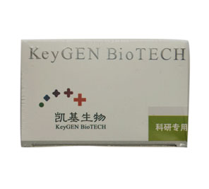 细胞周期检测试剂盒 Cell Cycle Detection Kit
