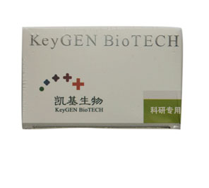 AnnexinV-FITC/PI双染细胞凋亡检测试剂盒 Annexin V-FITC/PI double staining cell apoptosis detection kit