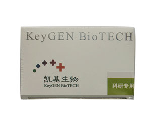 全蛋白提取试剂盒