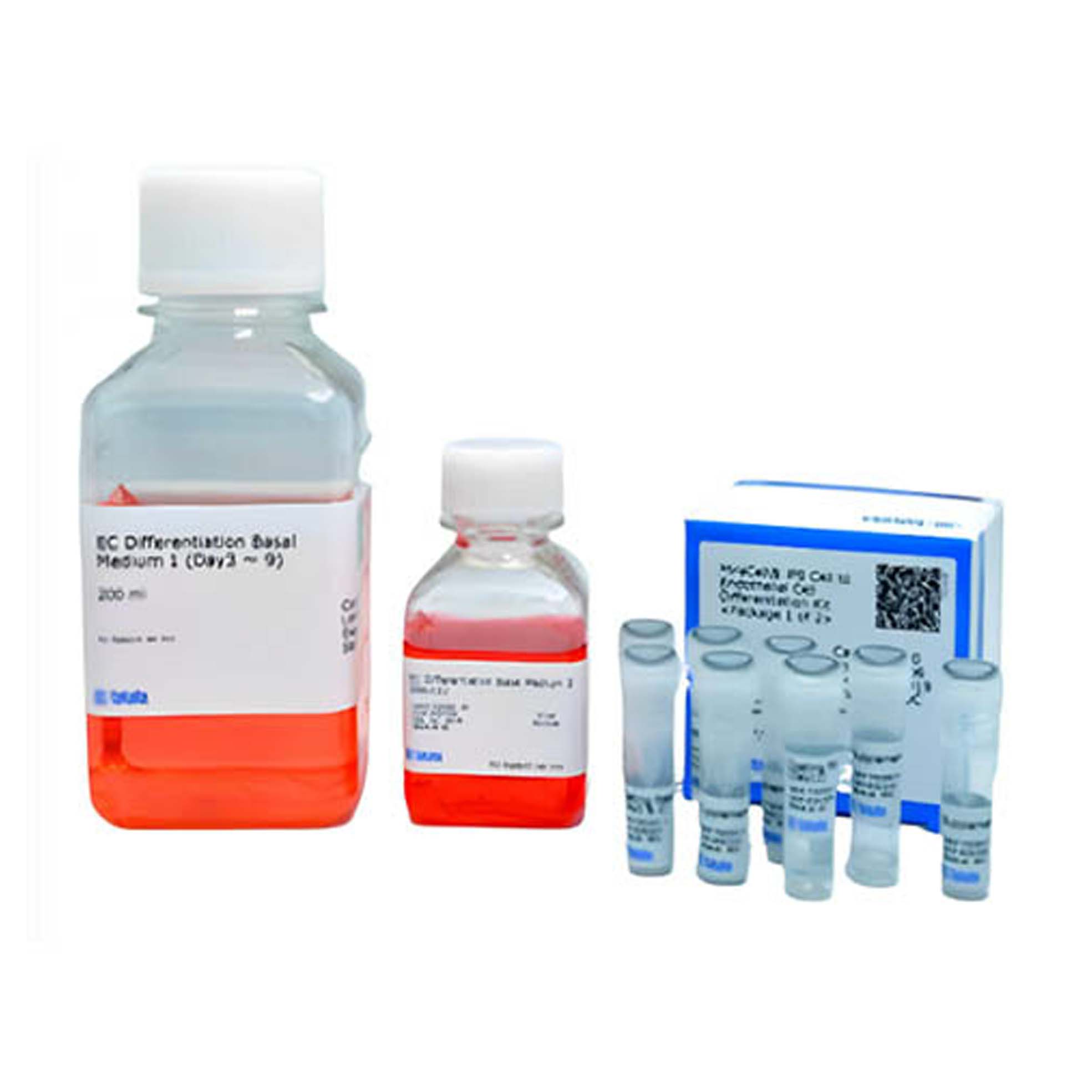 CellArtis ®人iPS细胞系12 （ChiPSC12）试剂盒 Cellartis® human iPS cell line 12 (ChiPSC12) Kit