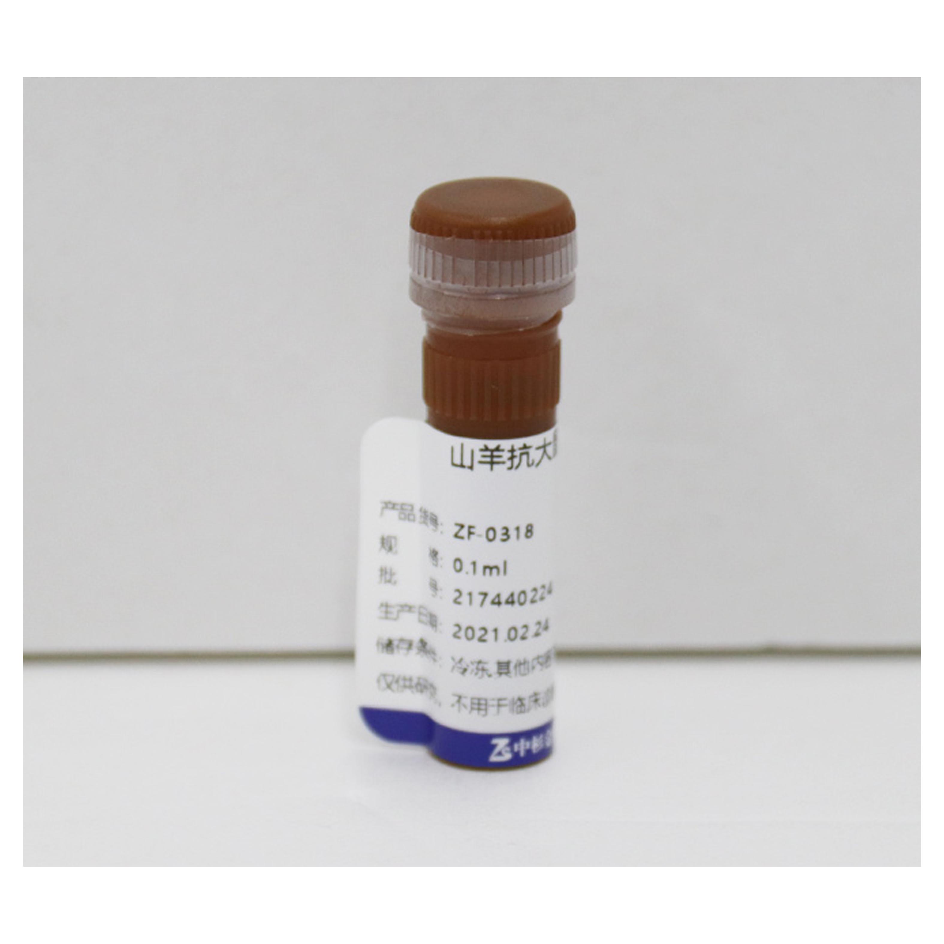 罗丹明标记山羊抗大鼠IgG（H+L）（亲和纯化）