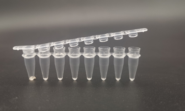 PCR8联排盖，透明